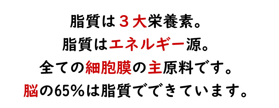 脂質バランスを整える